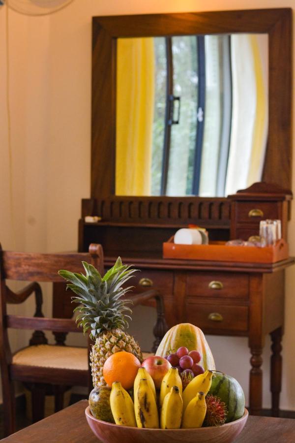 Mangrove Escapes Resort Bentota Exterior photo